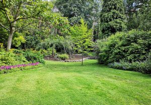 Optimiser l'expérience du jardin à La Ferte-Imbault